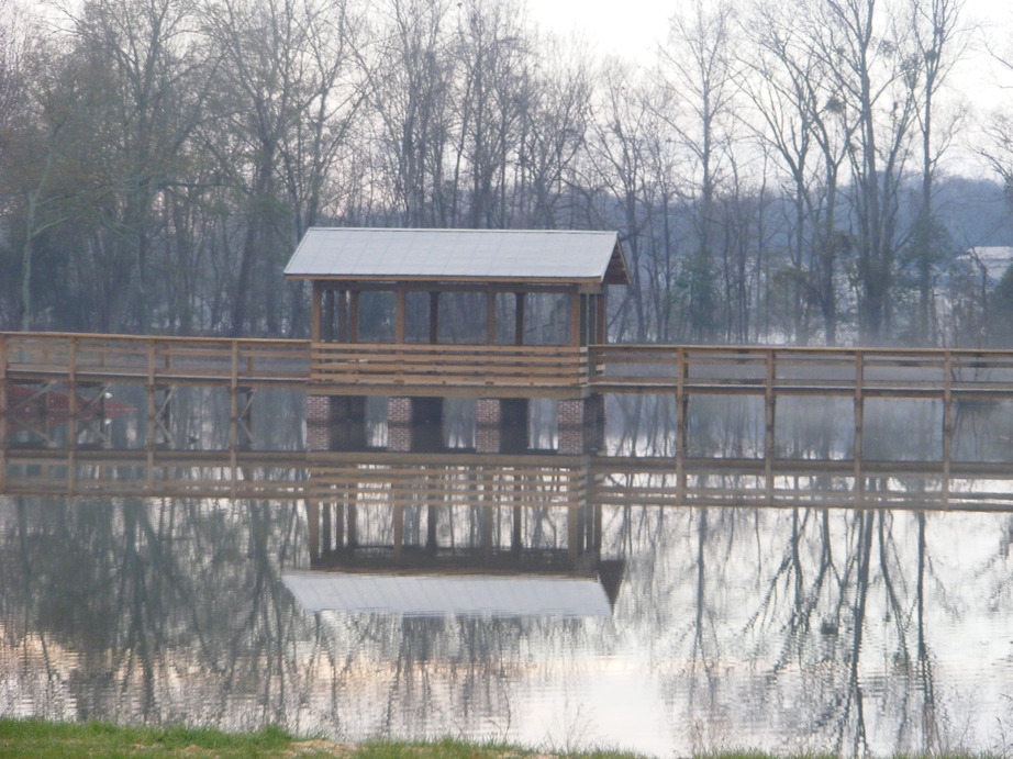 North Augusta, SC peaceful reflections at the Brickyard Ponds in