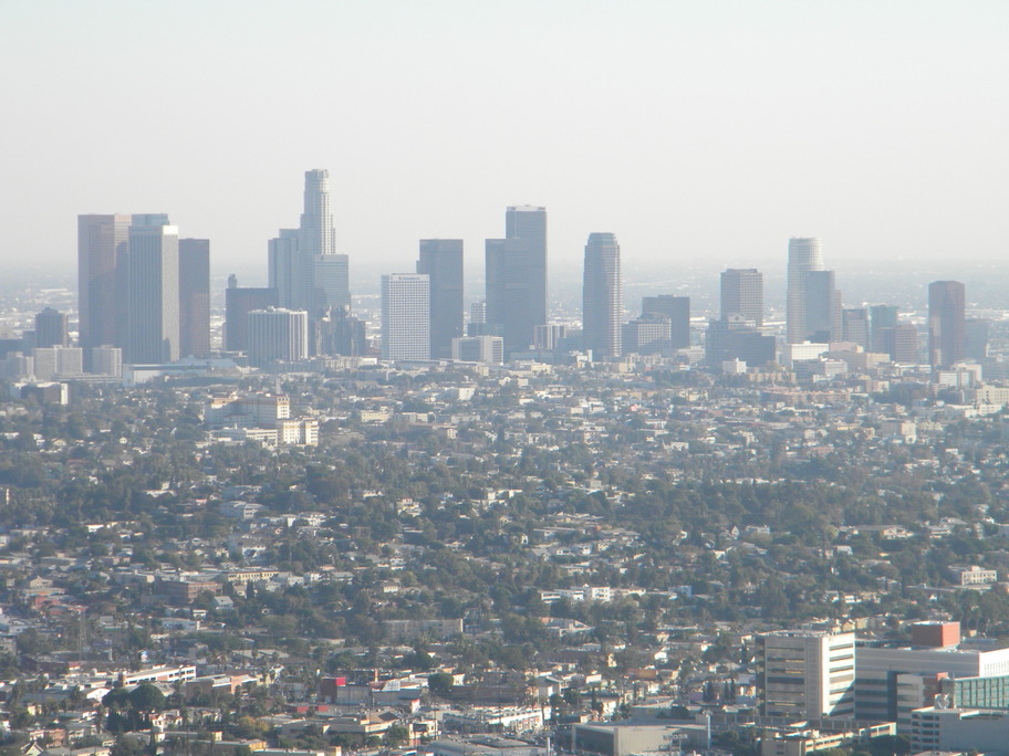 Los Angeles, CA: Downtown Los Angeles from Griffith Park.