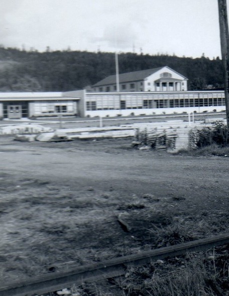 Orting, WA: notice the size of the trees on hill in the background 1950's