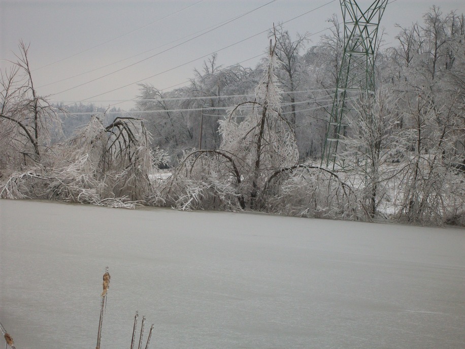 Caneyville, KY: Pond after ice storm