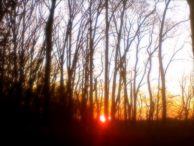 Hasbrouck Heights, NJ: first december sunset at woodland park