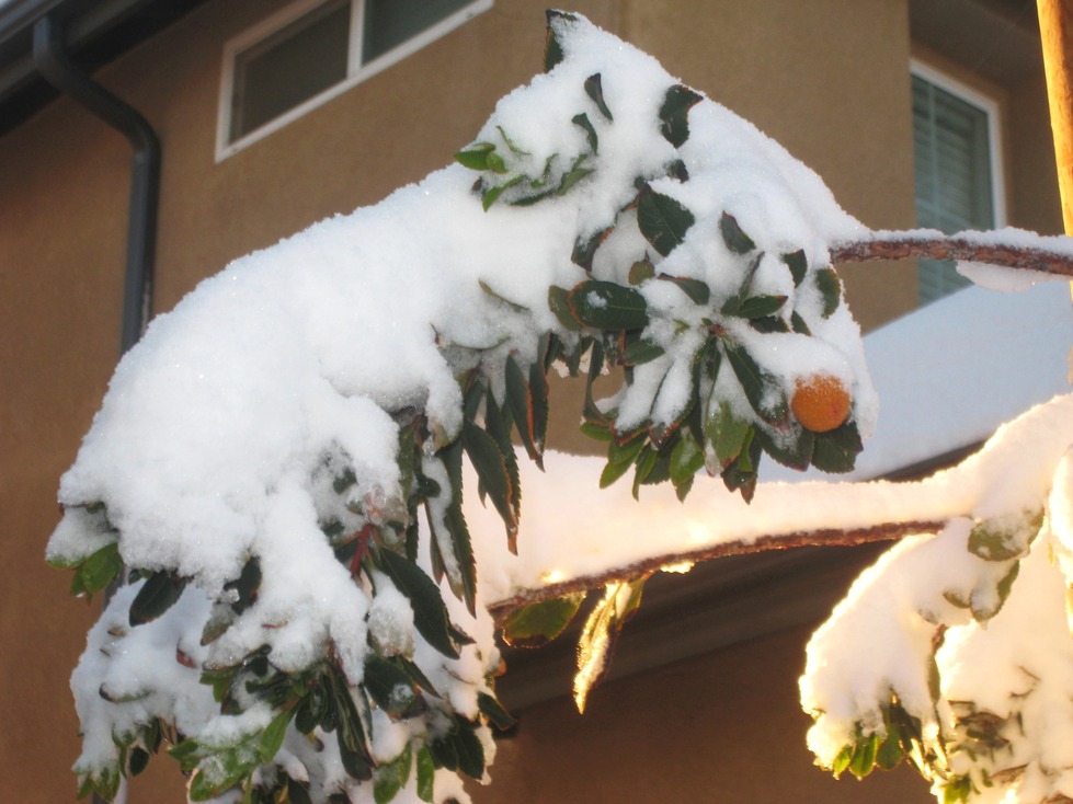 Victorville, CA: Snow in Victorville