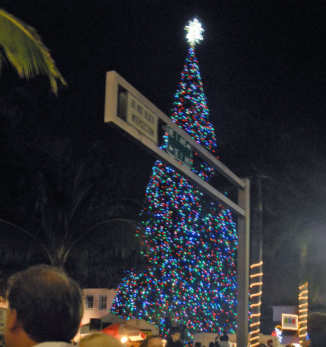 Delray Beach, FL: Delray Beach Christmas Tree