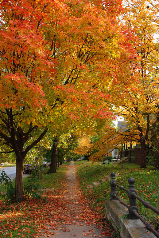 Lawrence, KS: Fall in Lawrence