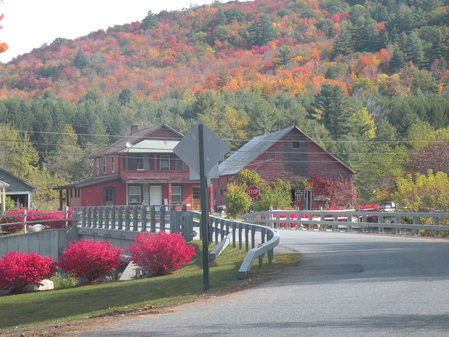 Wells, NY Wells, NY photo, picture, image (New York) at