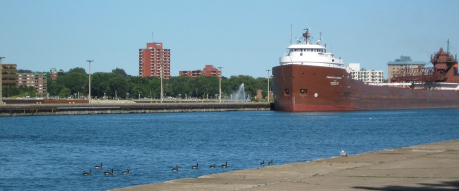 Sault Ste. Marie, MI: Canadian Geese Greeting the Boat Entering the Soo Locks Lake Superior Bound
