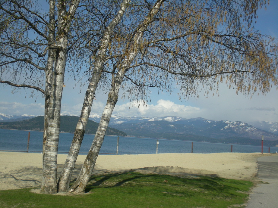 Sandpoint, ID : Sandpoint City Beach
