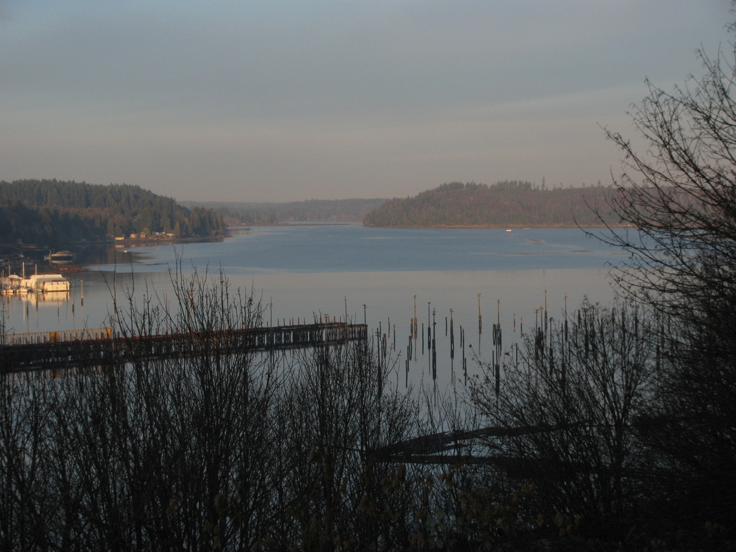 Shelton, WA: looking out over oakland bay