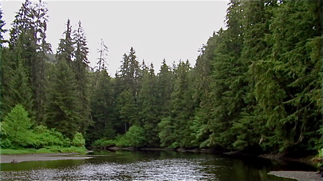 Thorne Bay, AK: Thorne River from the Gravelly Creek picnic ground