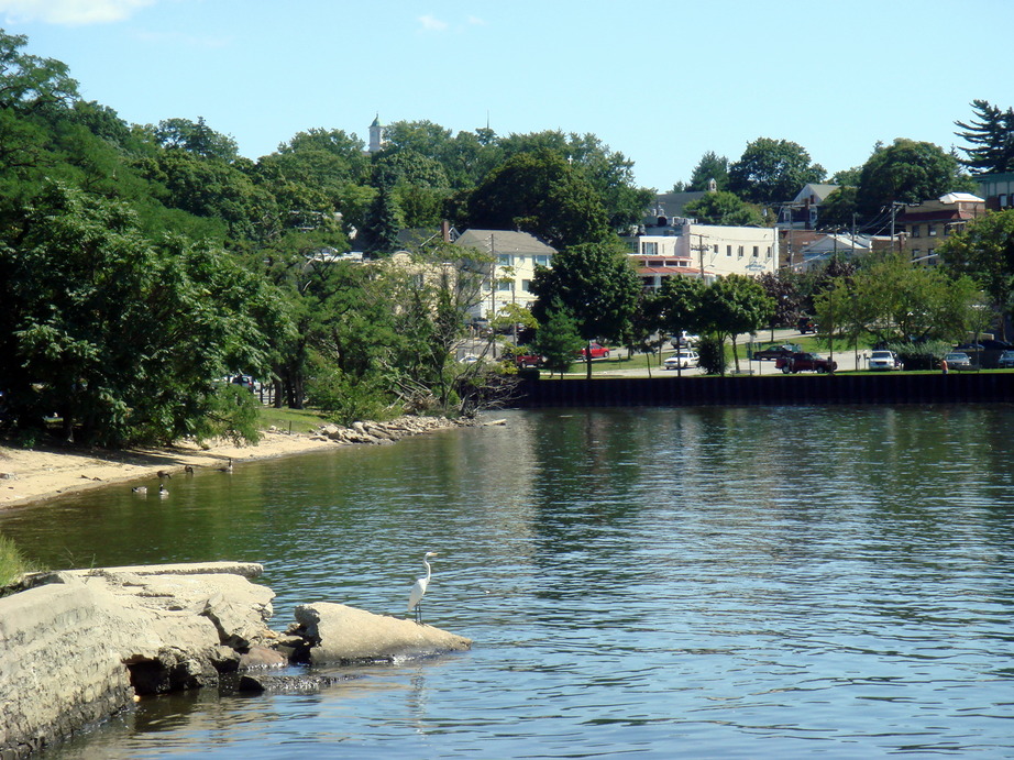 Port Washington, NY : Manhasset Bay Shore line and wildlife, Port