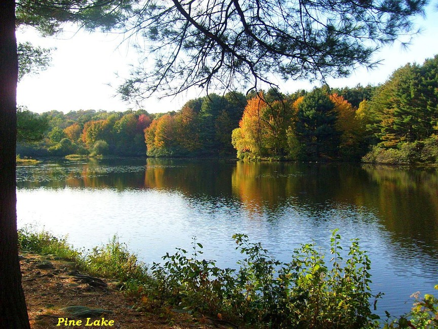 Shelton, CT: Pine Lake - Fall 2009