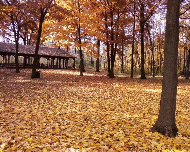 Brookfield, WI: With Park in fall