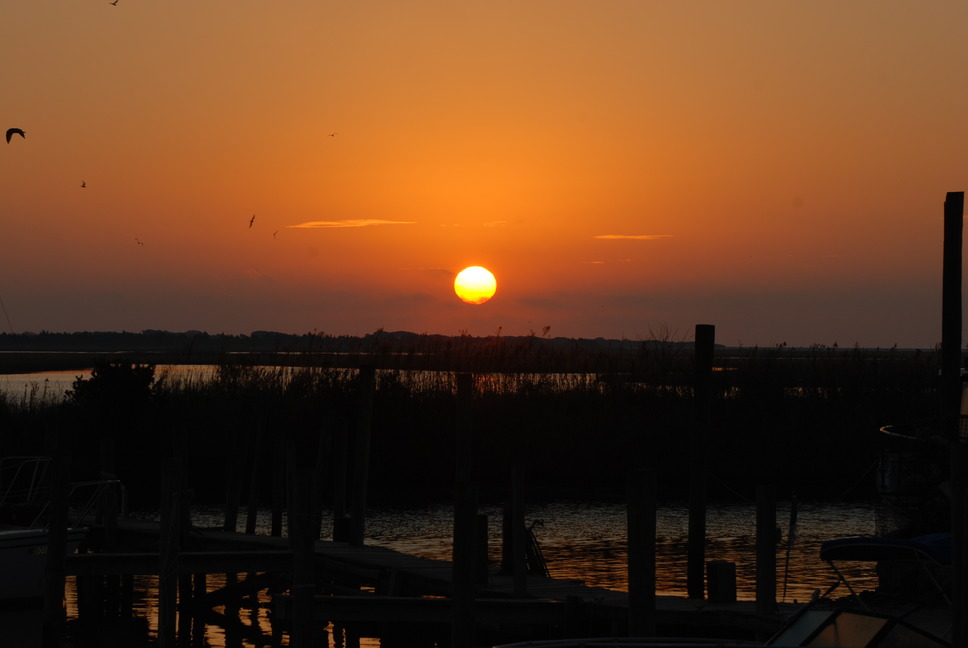 Sneads Ferry, NC: Sunrise on the ICW at Swan Point Marina