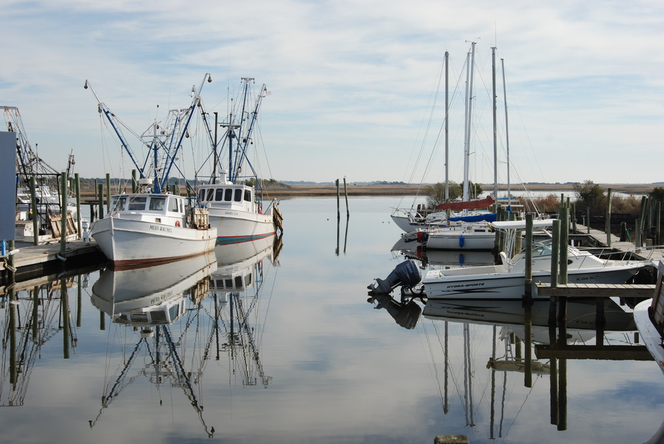 Sneads Ferry, NC : Swan Point Marina photo, picture, image (North