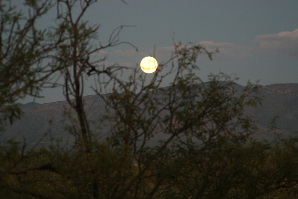 Sierra Vista, AZ : Sunrise over the Mule Mountains from Sierra Vista
