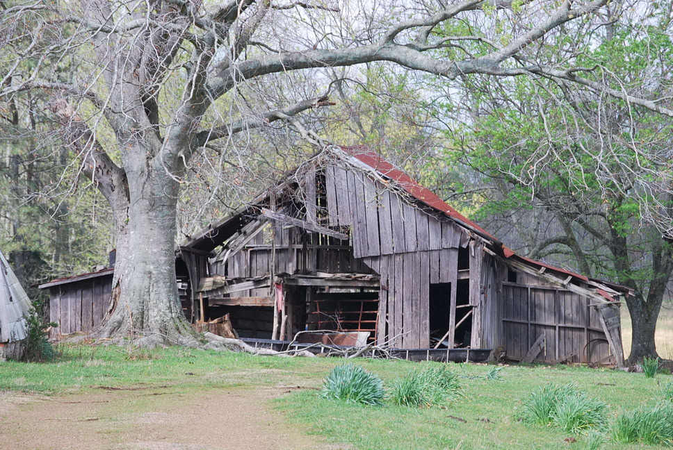 Elkmont, AL: Old barn in Elkmont