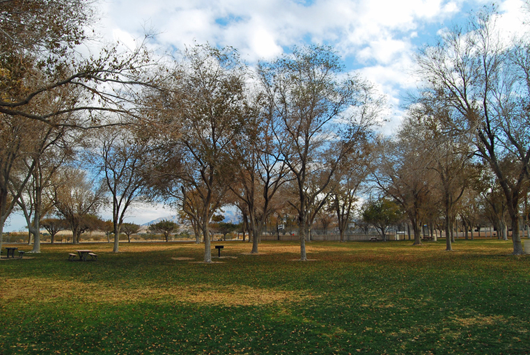 Twentynine Palms, CA : Luckie Park, Twentynine Palms, CA photo, picture