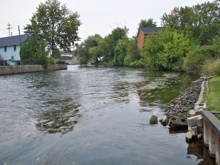 Albion, MI: Kalamazoo river behind town