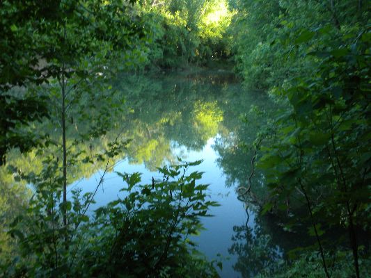 Festus, MO: A beautiful summers day walking Flucom creek, Festus, Mo