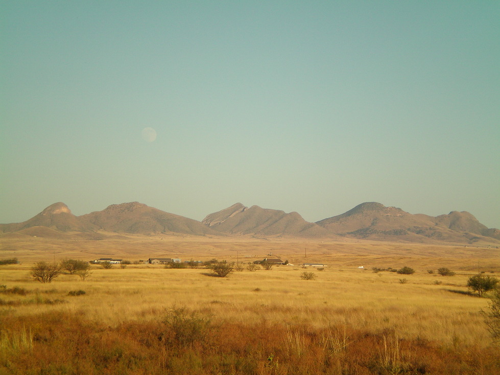 Sonoita, AZ: Looking across the grasslands of Sonoita towards the Mustang Mountains.