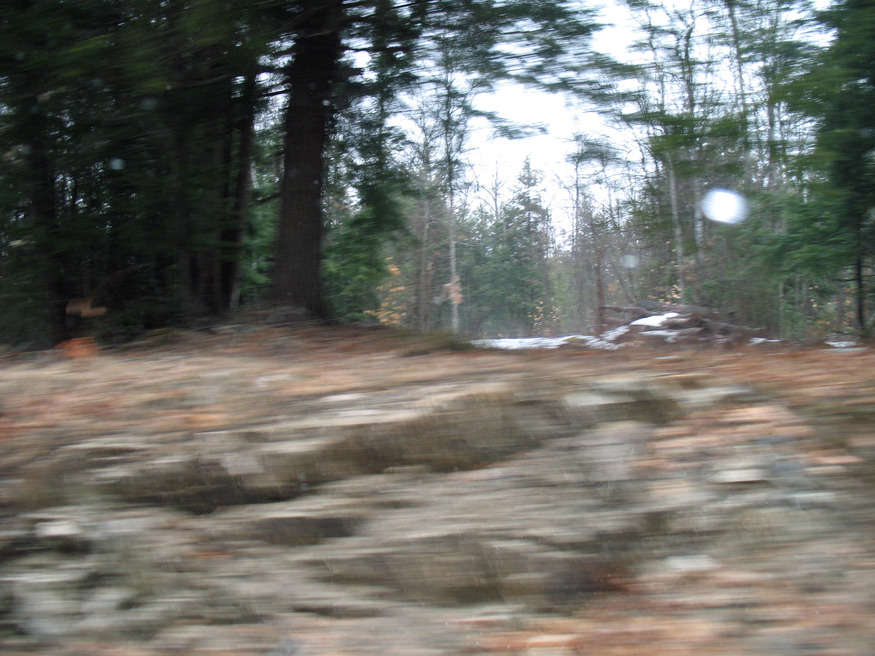 Vienna, VA: Photo taken from a car in motion. Wild and wonderful nature - early Spring 2009... Beadle Road of Richmond, ME.