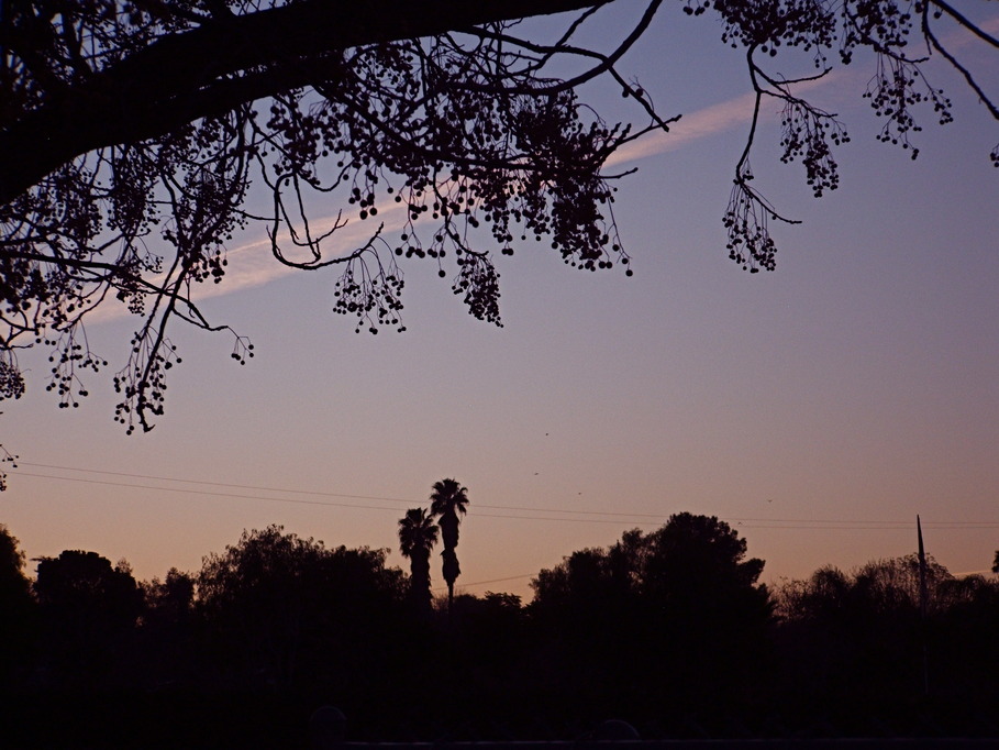 Wildomar, CA : Sunrise on February 15, 2010 in Wildomar (5:30 a. m.)