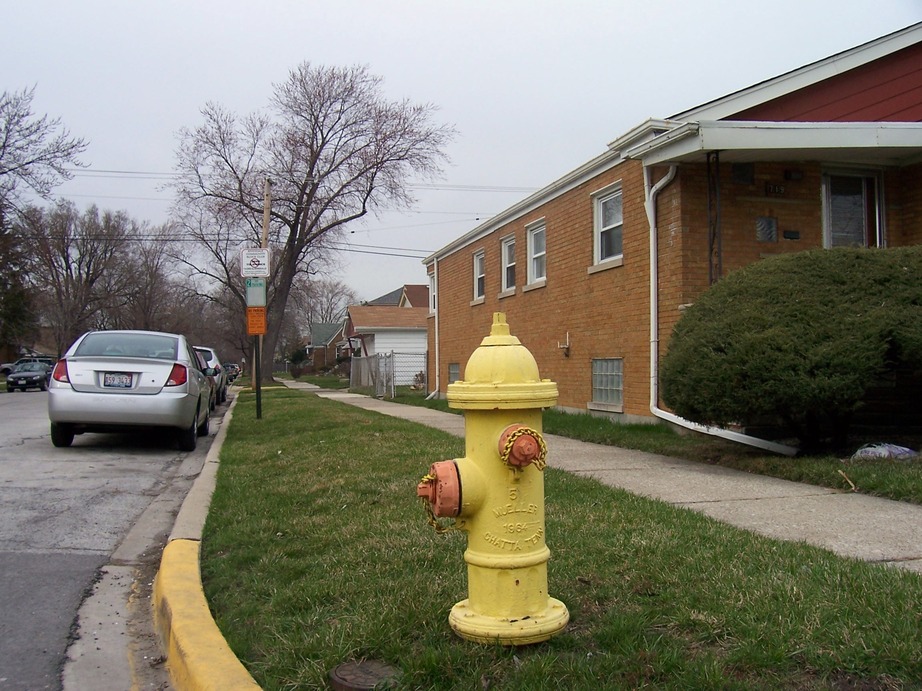 Riverdale, IL: Looking north up South Emerald Avenue from West 144th Street, fireplug in foreground