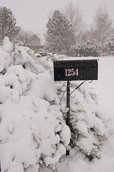 Gardnerville Ranchos, NV: A Snowy Day on Wonder Court