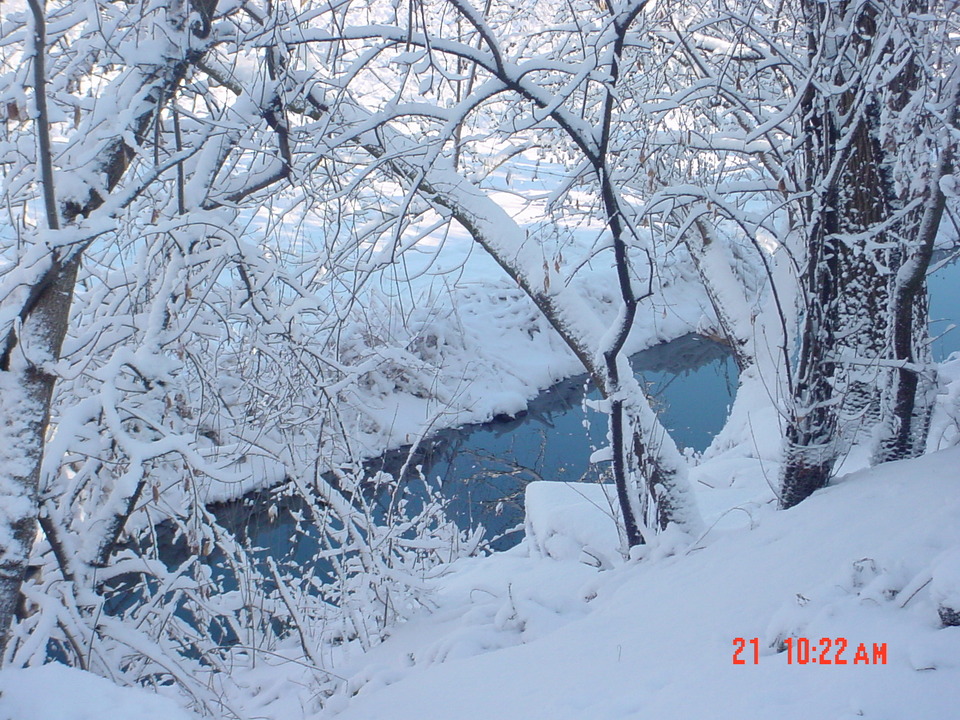 Warrenville, IL: WINTER SNOWY CREEK BEHIND MY HOME