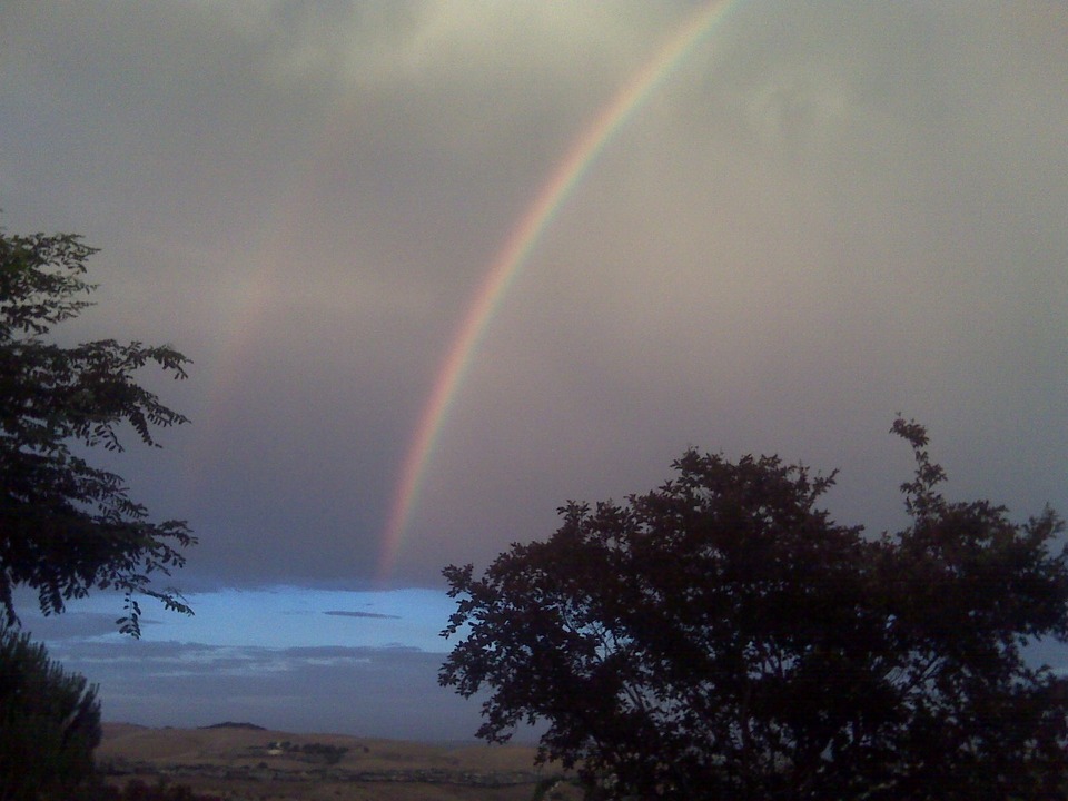 Benicia, CA: This rainbow appeared in the east from my backyard