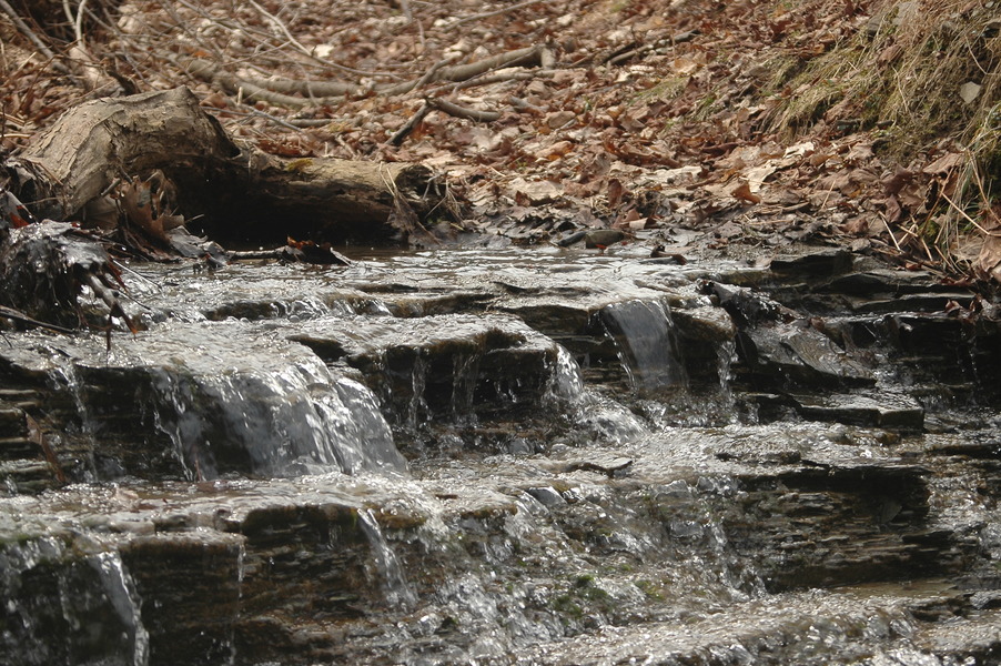 Conneaut, OH: Little waterfall off Welton Road in Conneaut