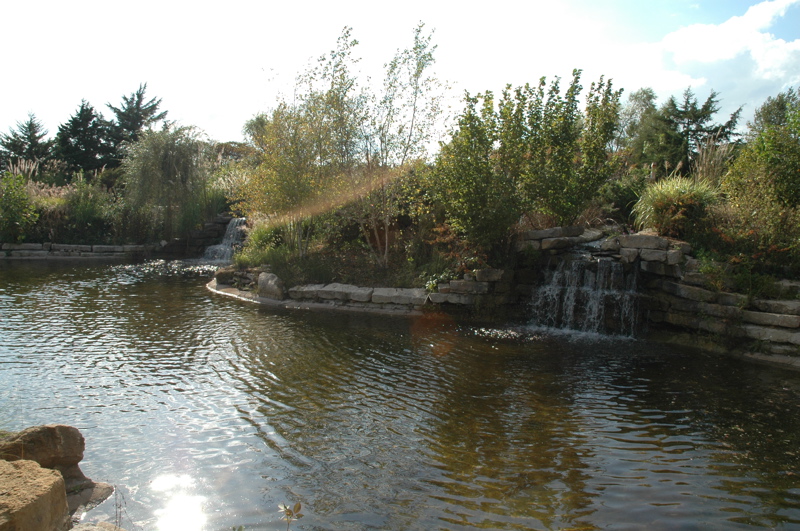 Overland Park, KS: Overland Park Arboretum