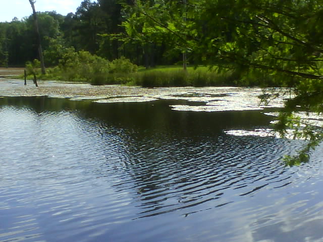 Fordyce, AR: Country pond