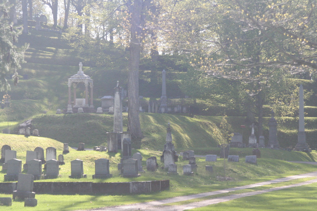 Albion, NY: Mount Albion Cemetery