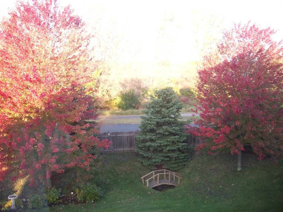 Eden Prairie, MN: Beautiful Fall Day Mother Nature's Way!