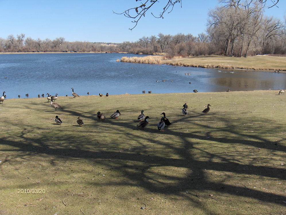 Billings, MT : Riverfront park in the winter in Billings