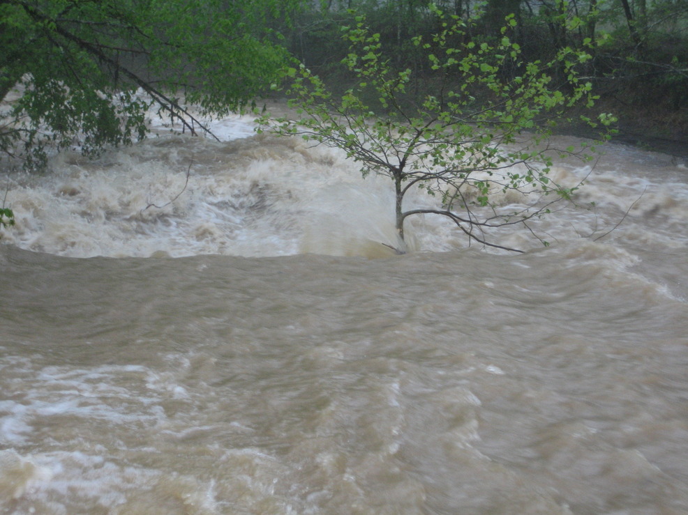 Edmonton, KY: Red Lick Creek May 2010