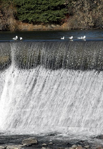 Idaho Falls, ID: Balancing act at the falls at the Riverwalk