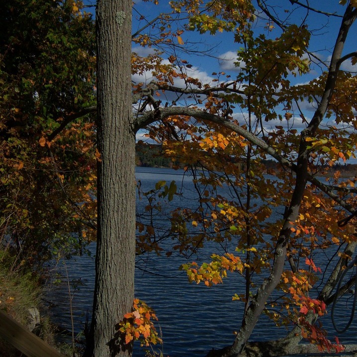 Redwood, NY Crisp Fall Day photo, picture, image (New York) at city