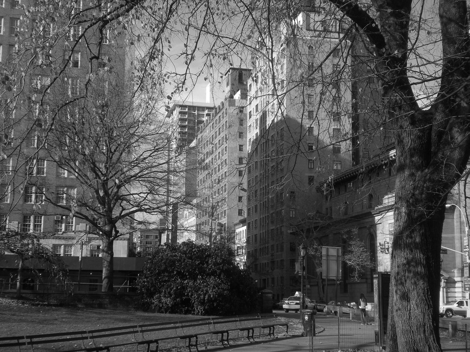 Manhattan, NY : central park