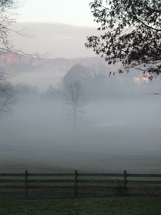 Cleveland, TN: Morning fog rolls in from Mouse Creek