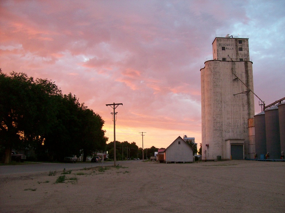 sun haven billings mt