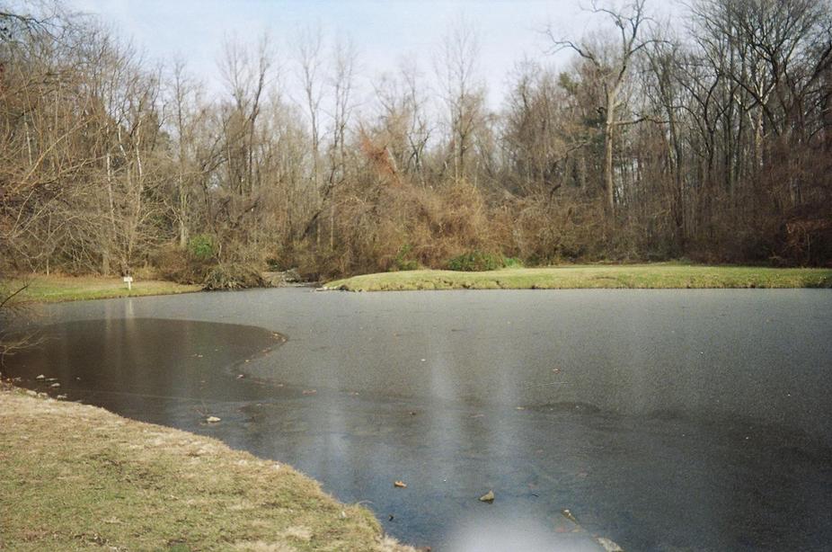 Terre Haute, IN : Deming Park (pond just beginning to freeze)