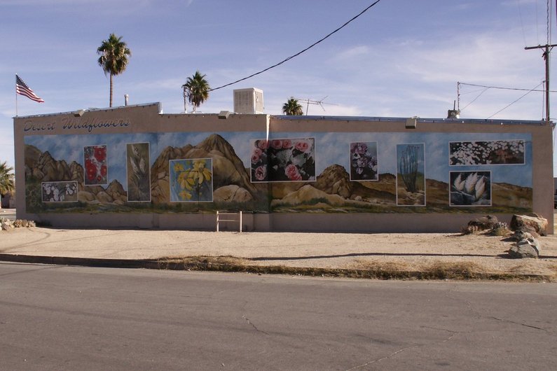 Twentynine Palms, CA : One of 17 different mural's painted on the sides of buildings.   This one is Desert Wildflowers.
