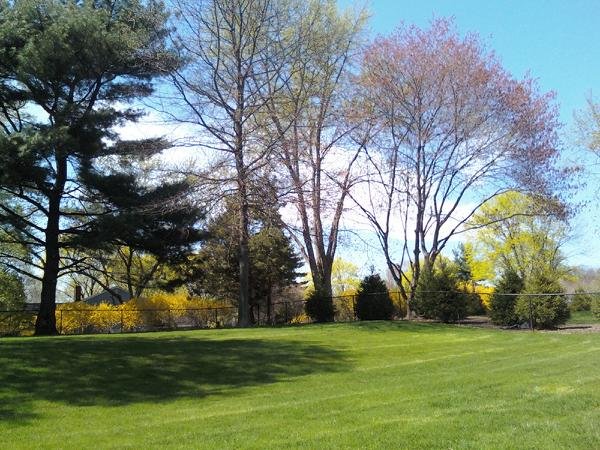 Wyckoff, NJ: Spring day in a backyard