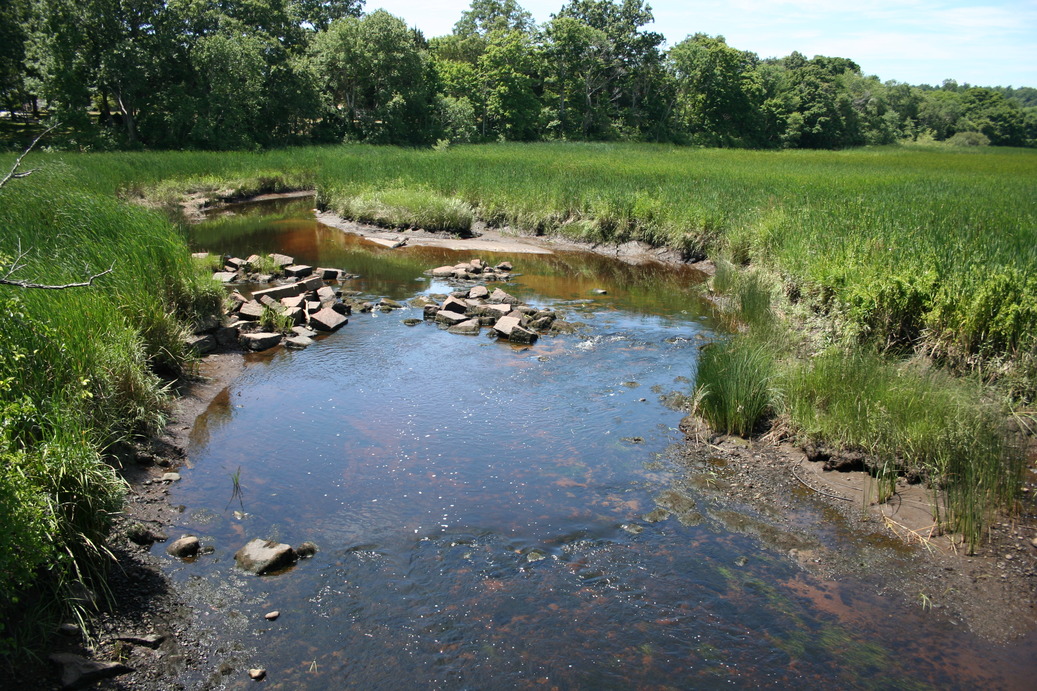 Marshfield, MA South River Marsh Facing West photo, picture, image