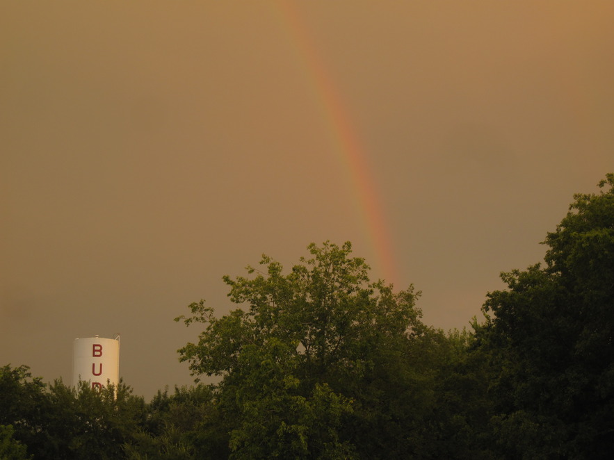 Buda, TX: rainbow in buda
