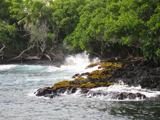 Pahoa Hi