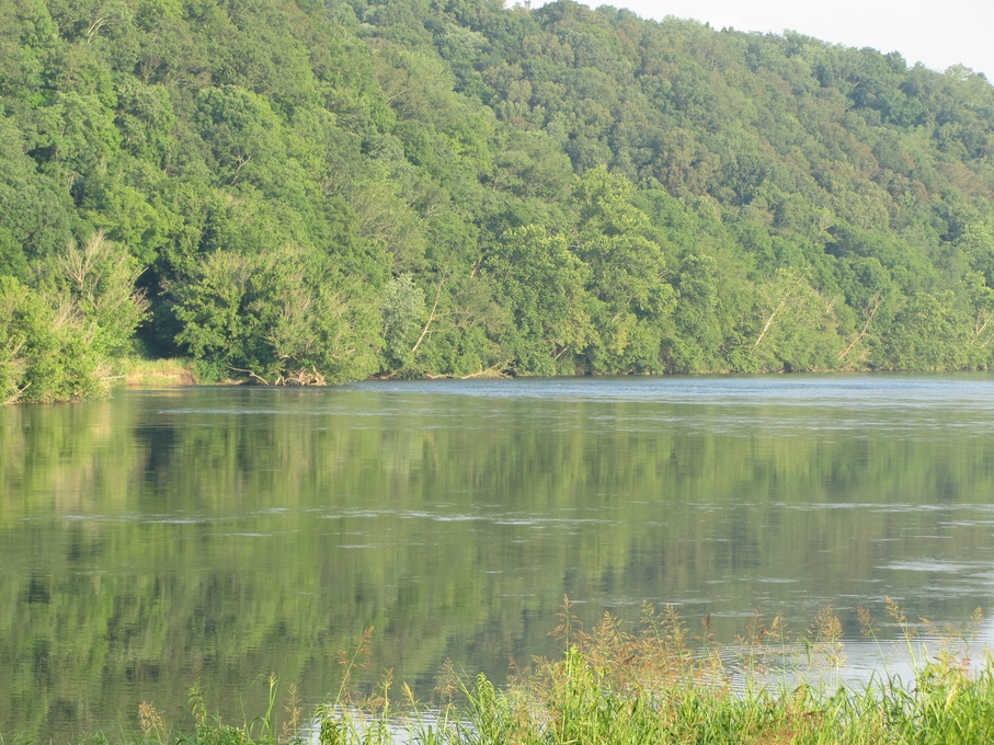 Surgoinsville, TN: Holston River; taken from the park off Longs Bend Pke