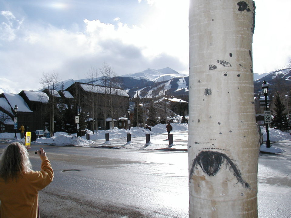 Breckenridge, CO : Looking up to the slopes.
